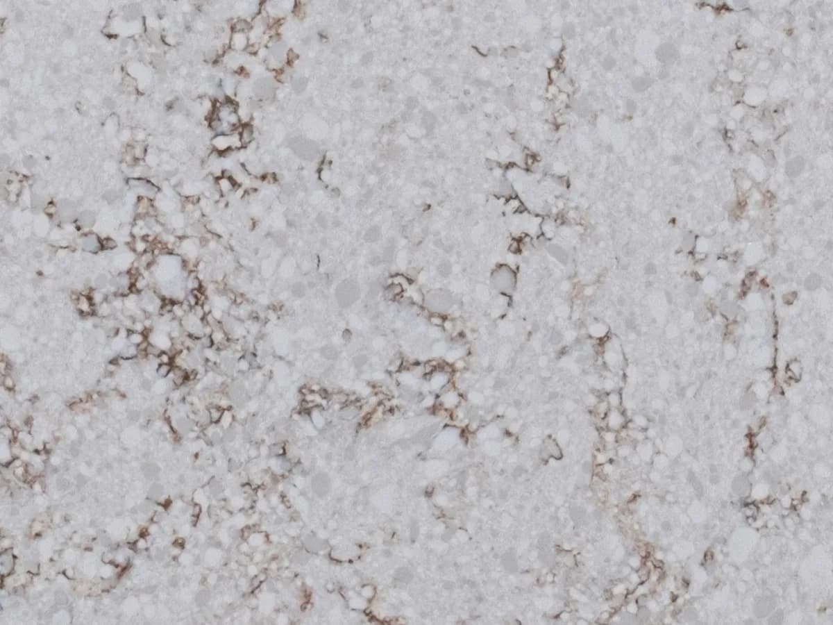 Çimstone Kaffa 273 kuvars tezgah, yüzey ve desenin yakın çekimi (üretici görseli)