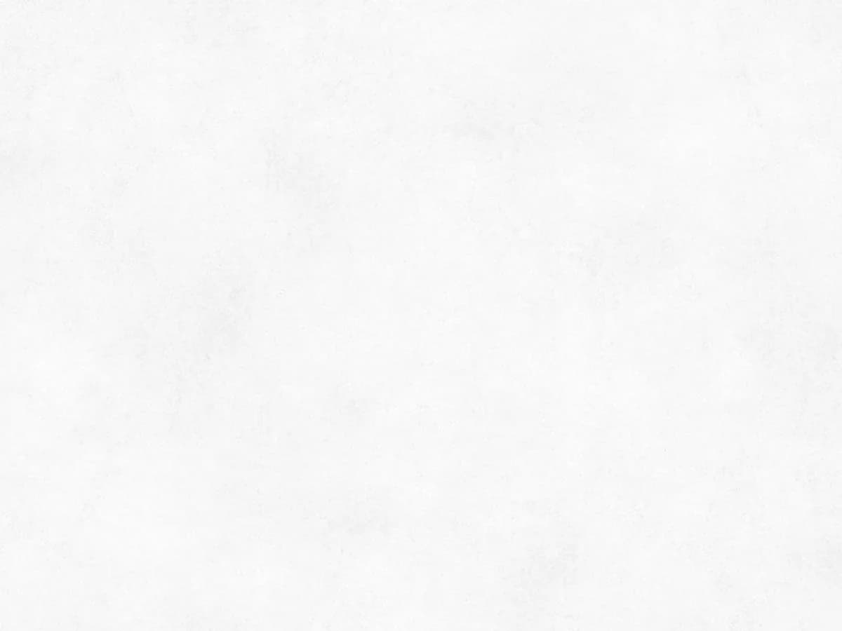 Coante Iola White 10205 kuvars tezgah, yüzey ve desenin yakın çekimi (üretici görseli)